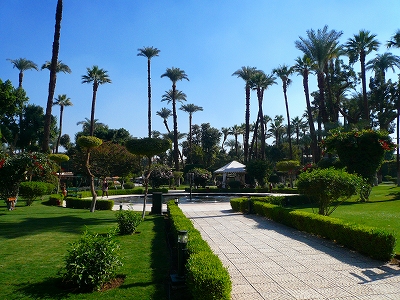 c0153330_102986.jpg