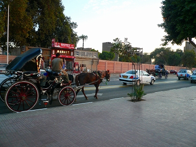 c0153330_19435.jpg