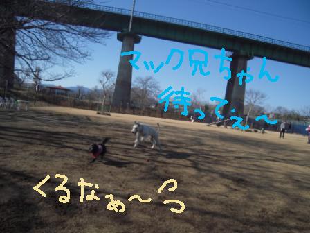 f0176830_13432466.jpg