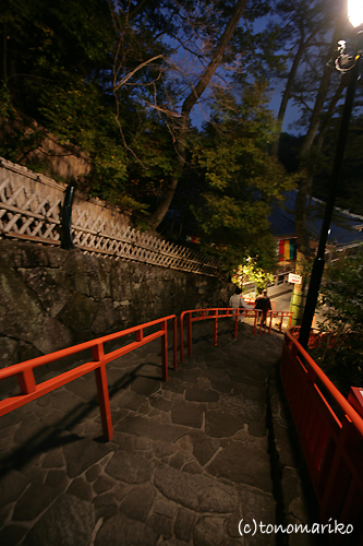 バブーとおいしい関西の旅_c0024345_11113834.jpg