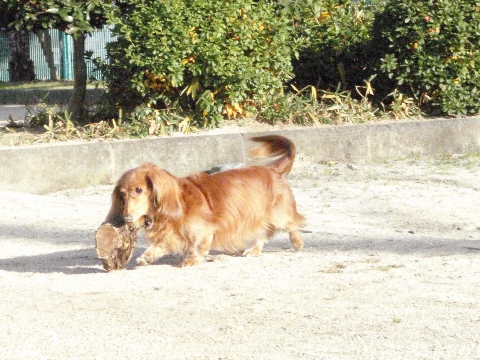 c0121550_12415283.jpg