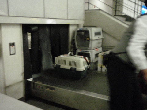 c0121550_12454166.jpg