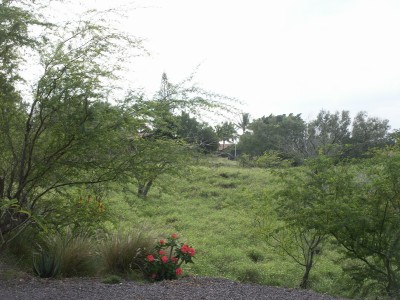 e0033156_16502683.jpg