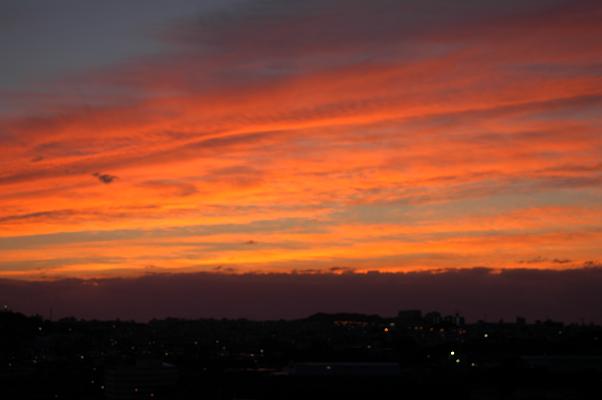 c0180460_1739889.jpg