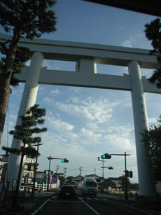 c0181062_10504718.gif