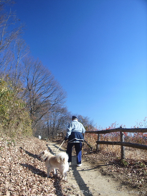 庚申山 散歩 白い犬 おじいさん 快晴 冬 午前中 群馬県 藤岡市 写べる 庚申山 散歩 白い犬 おじいさん 快晴 冬 午前中 群馬県 藤岡市 写べる