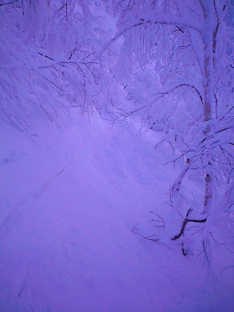 c0151965_23163183.jpg