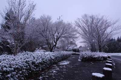 雪に消えた初日の出　　1/1_c0152779_1252580.jpg