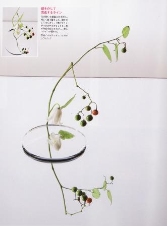 フローリスト1月号_d0122382_16173771.jpg