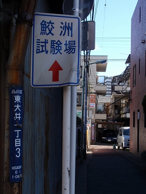 c0105785_1344591.jpg