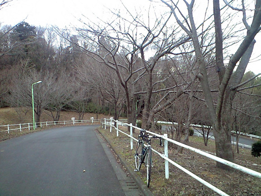 e0034994_206514.jpg