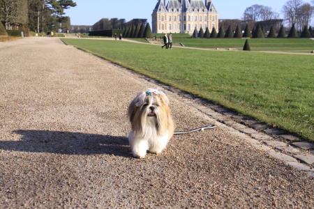 久しぶりのソー公園♪_c0090198_551738.jpg