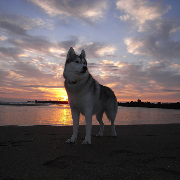 Happy birthday♪ by GX100_c0049299_11464588.jpg