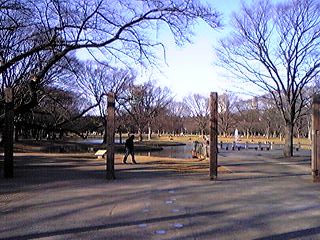 おはようございます* ゜・._f0195703_9533944.jpg