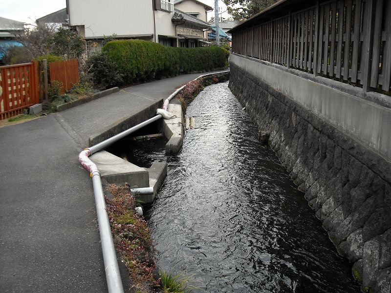 一万歩　鷹岡　かみの里コース_f0141310_23231122.jpg