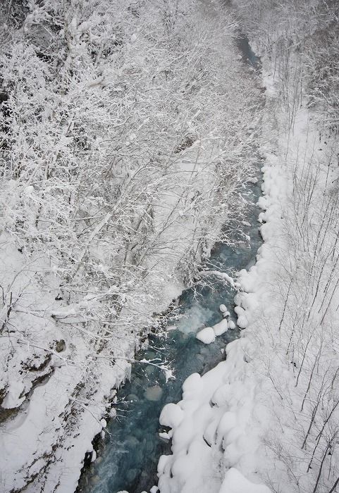 f0139911_2137716.jpg