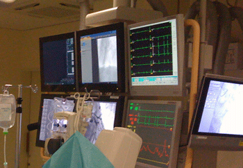 a0055913_0253665.gif