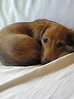 祝!2009年初春 NO.113_c0102513_21402797.jpg