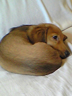祝!2009年初春 NO.113_c0102513_2140572.jpg