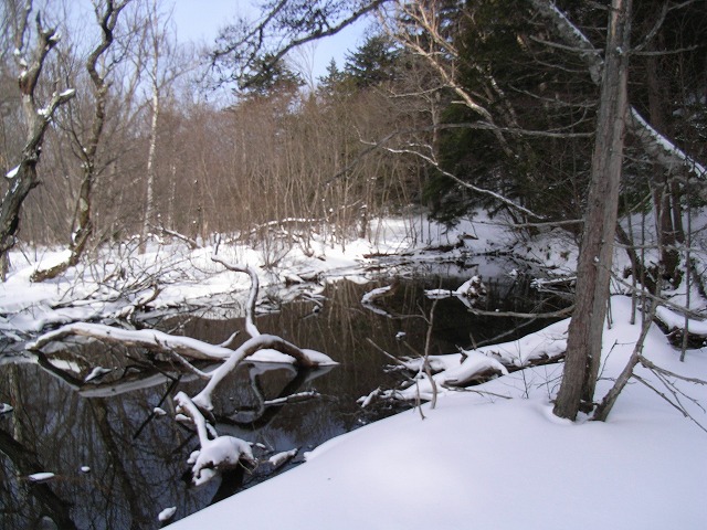 d0111124_23264027.jpg