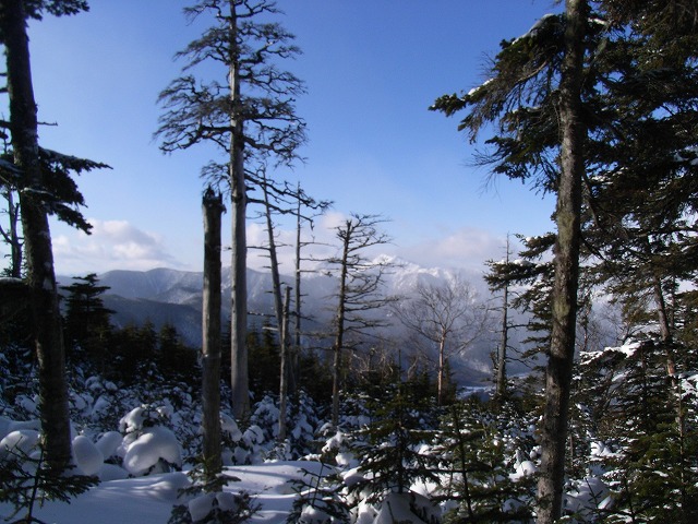 d0111124_23302487.jpg