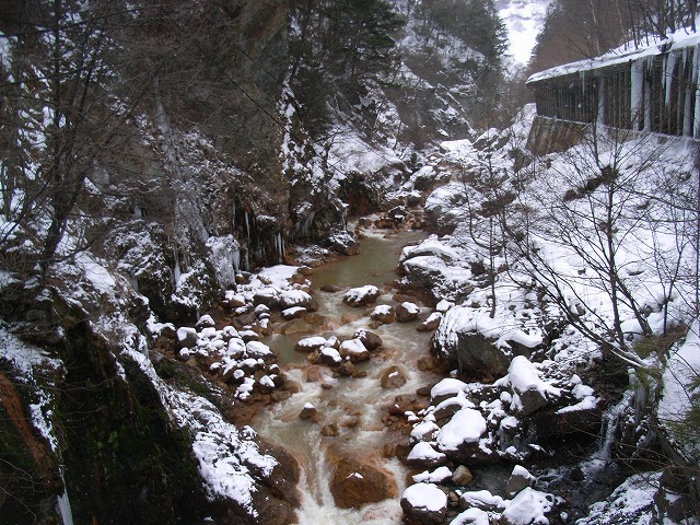 d0111124_23333775.jpg
