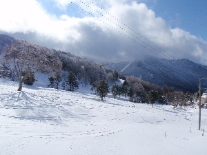 b0156430_17572835.jpg