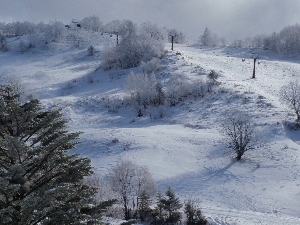 b0156430_17574277.jpg