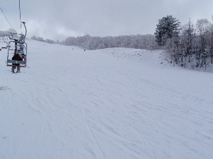 b0156430_17582685.jpg