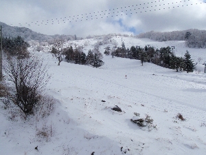 b0156430_1758516.jpg