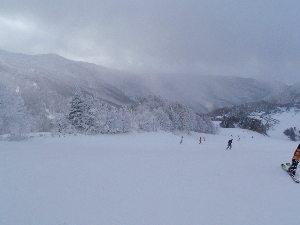 b0156430_17591495.jpg