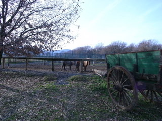 a0059032_0543495.jpg