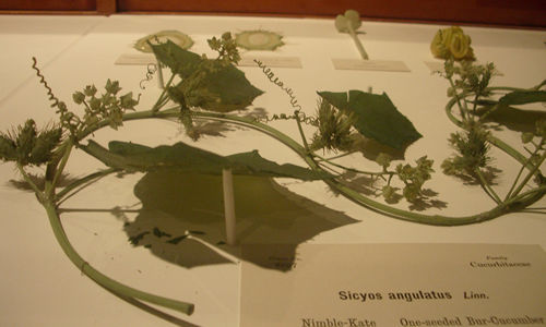 c0064534_12206.jpg