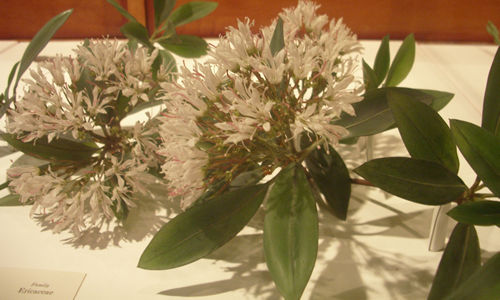 c0064534_12843.jpg