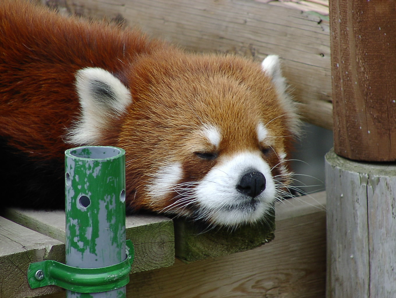 2009年を考える 1月6日_f0113639_165136100.jpg