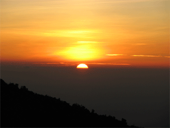 a0044453_20271313.gif