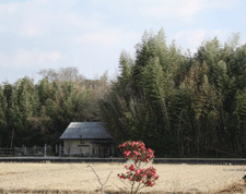 c0167576_7402278.gif