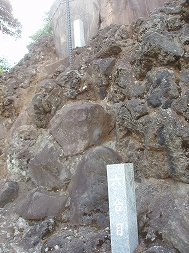 30. 品川神社_c0105785_12365240.jpg