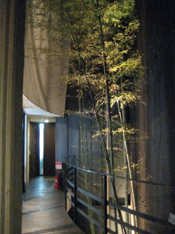c0013687_0542332.jpg