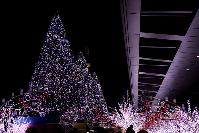 四日市帰省紀行　　　- 名古屋駅前のイルミネーション２ -_b0067789_2113899.jpg