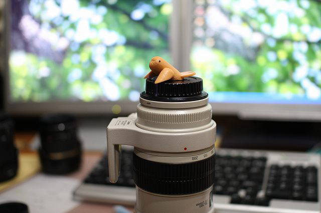 d0050693_1072359.jpg