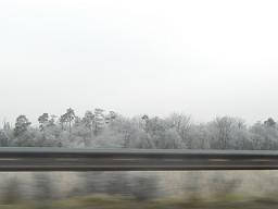 f0127098_9424535.jpg