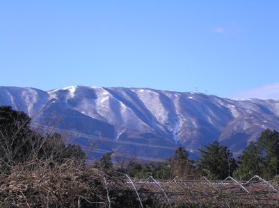 c0156104_04191.jpg