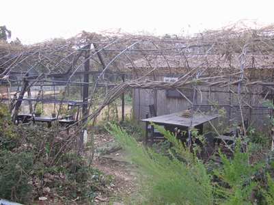 c0156104_062481.jpg