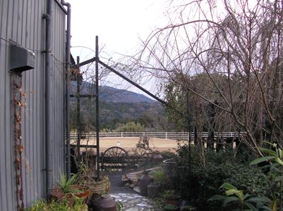 c0156104_20505027.jpg