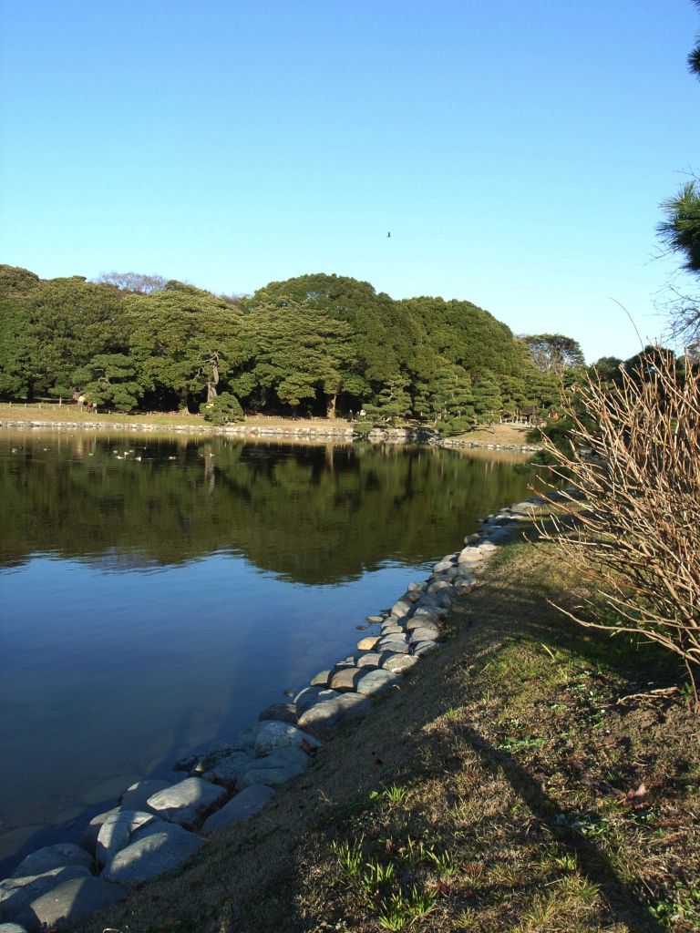 e0138804_1859098.jpg