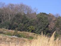 e0087805_1581039.jpg