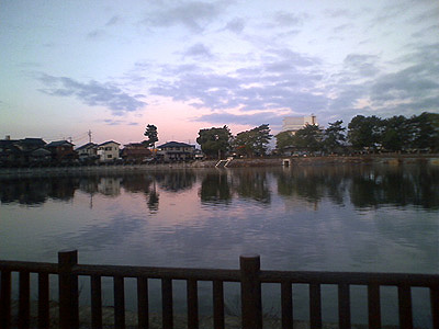 e0065906_1754831.jpg