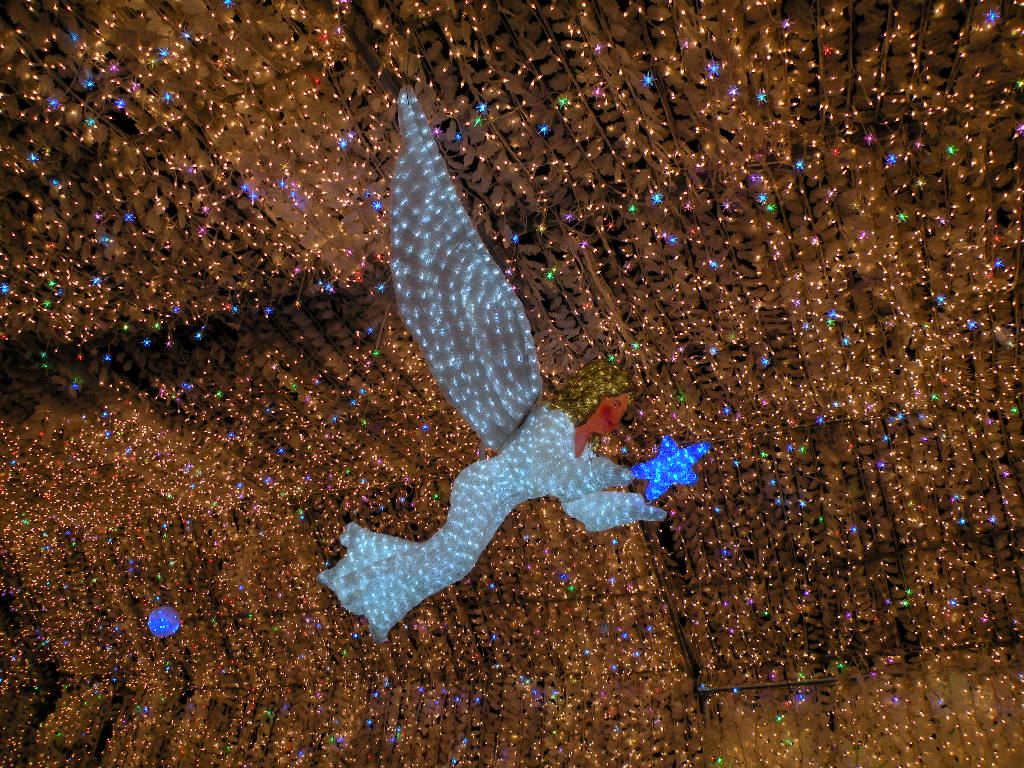 e0015108_815875.jpg