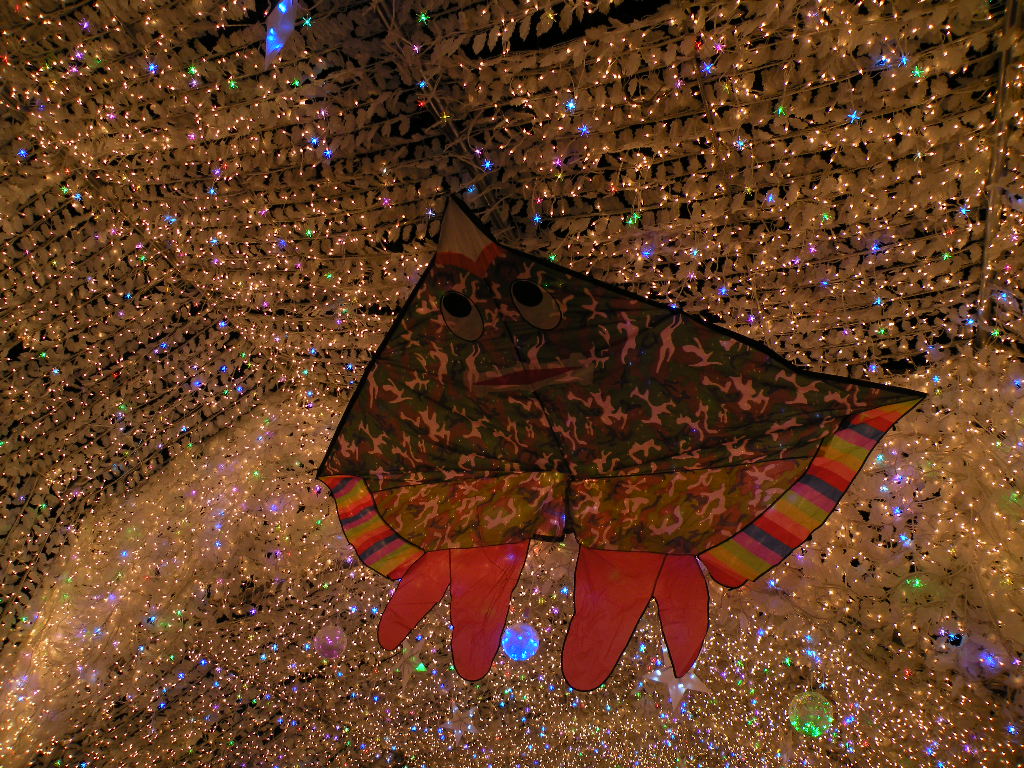 e0015108_824569.jpg
